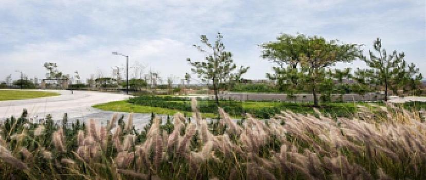 Property view 5