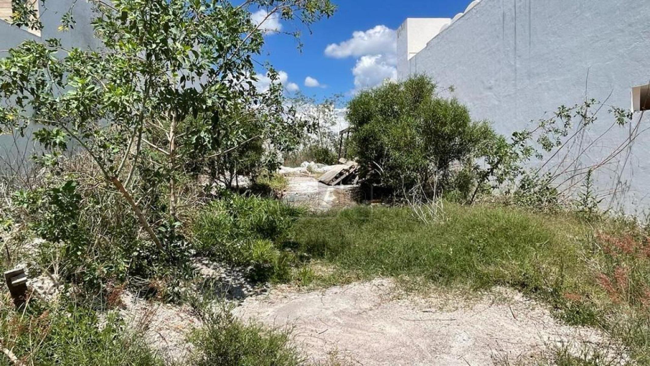Vista de la propiedad 2