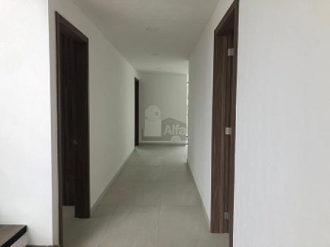 Property view 5
