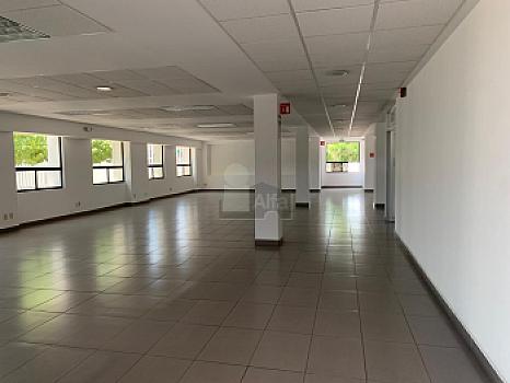 Edificio de oficinas Corporativas en Renta en Zona Indistrial