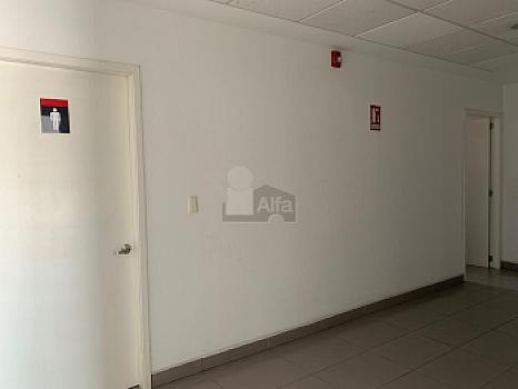 Edificio de oficinas Corporativas en Renta en Zona Indistrial