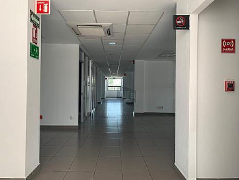 Edificio de oficinas Corporativas en Renta en Zona Indistrial