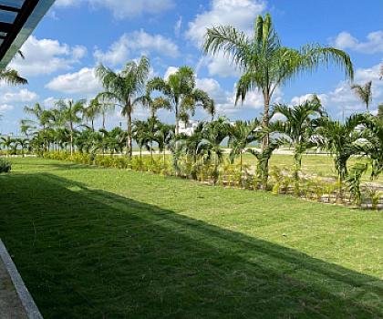 Terrenos en venta en Palmarena