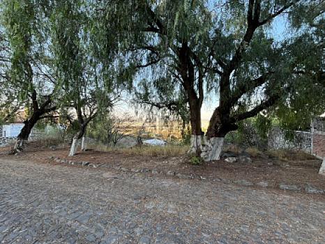 Property view 4