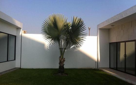 Departamento en sale en Paraíso Country Club, Emiliano Zapata, Morelos