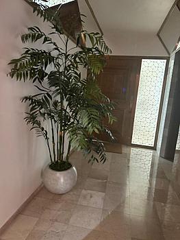 Venta departamento en Polanco Calle Homero 300m2 