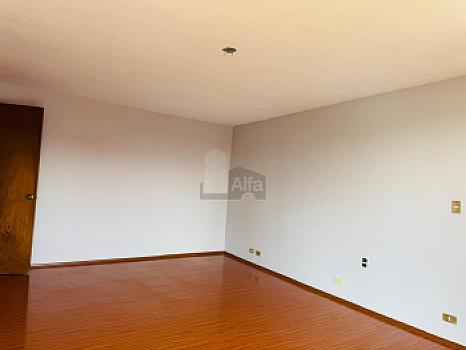 Venta departamento en Polanco Calle Homero 300m2 