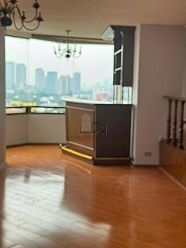 Venta departamento en Polanco Calle Homero 300m2 