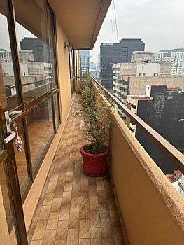 Venta departamento en Polanco Calle Homero 300m2 