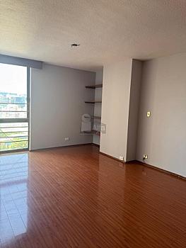 Venta departamento en Polanco Calle Homero 300m2 