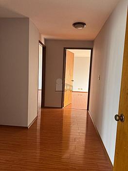 Venta departamento en Polanco Calle Homero 300m2 