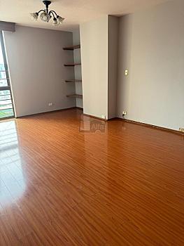 Venta departamento en Polanco Calle Homero 300m2 