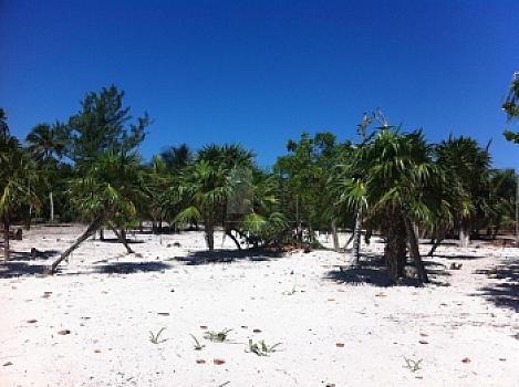 Terreno en Venta en Mahahual, Quintana Roo.