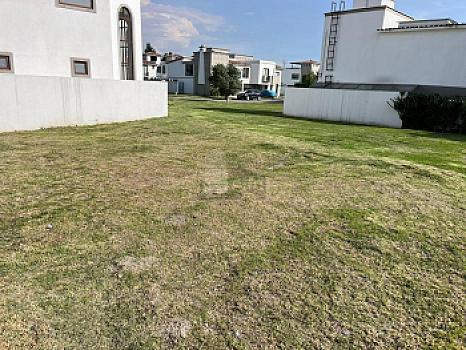 Property view 2