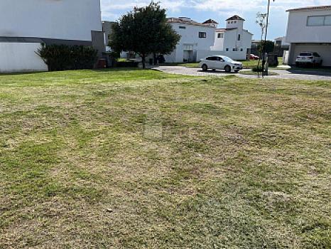Property view 5