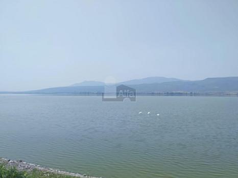 Property view 3