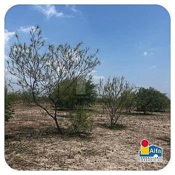 Property view 5