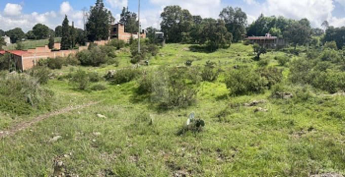 Property view 3