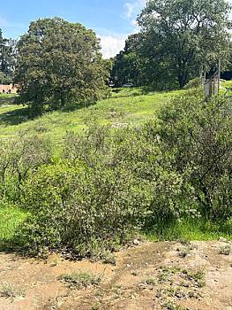Terreno en venta en Tepotzotlán