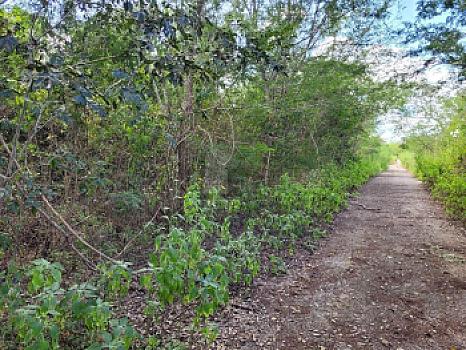 Terreno en Venta en Tahdzibichen, Mérida, Ideal para Desarrollos