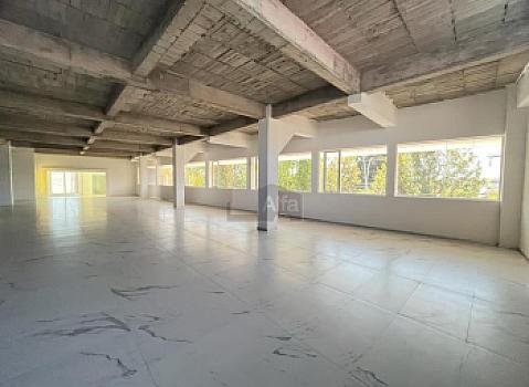 Oficina comercial en rent en San Francisco Coaxusco, Metepec, México