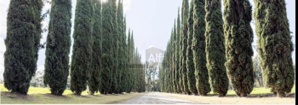 Terrenos en VENTA en Corregidora, Querétaro