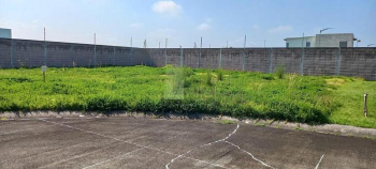 Property view 2