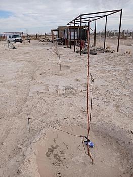 Terreno habitacional en sale en Samalayuca, Juárez, Chihuahua