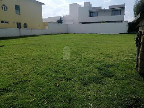Property view 2