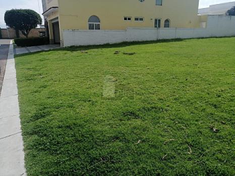 Property view 5