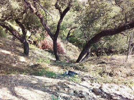 Terreno en venta, San Eugenio, Raices, Allende, Nuevo León.