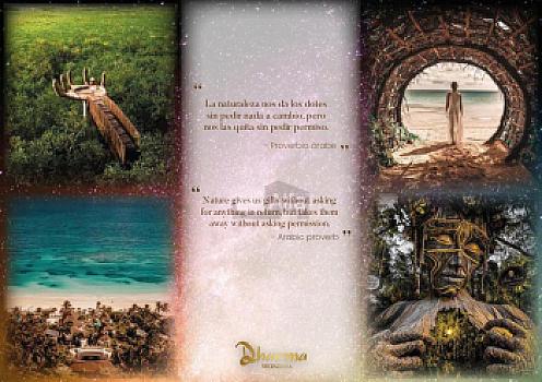 5 Terrenos en Venta en Selvazama, Tulum Quintana Roo