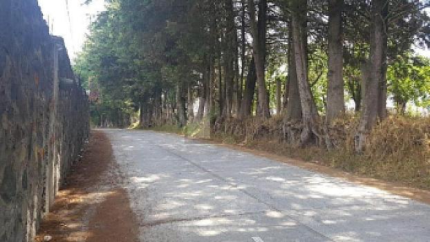 inversionistas en ecoturismo y hoteleria