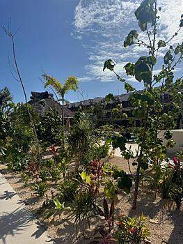 Suite en venta en Amaná Tulum Quintana Roo Inversion