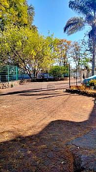 Inmueble comercial en zona de alta demanda