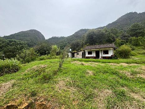 OCHO HECTAREAS DE TERRENO CON ARBOLES DE AGUACATE PRODUCIENDO