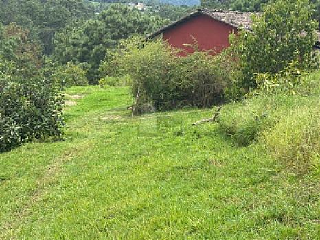 Property view 3
