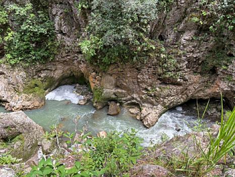 OCHO HECTAREAS DE TERRENO CON ARBOLES DE AGUACATE PRODUCIENDO
