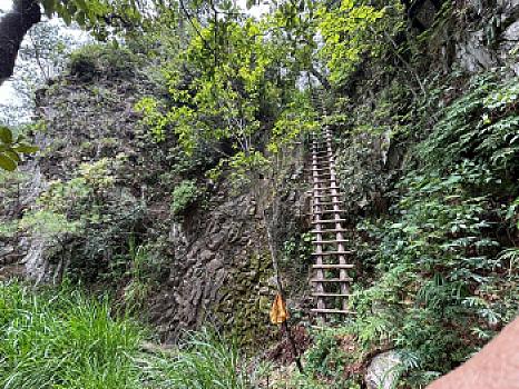 OCHO HECTAREAS DE TERRENO CON ARBOLES DE AGUACATE PRODUCIENDO