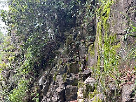 OCHO HECTAREAS DE TERRENO CON ARBOLES DE AGUACATE PRODUCIENDO