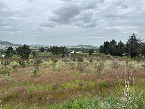 Property view 3