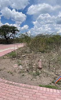 Property view 3
