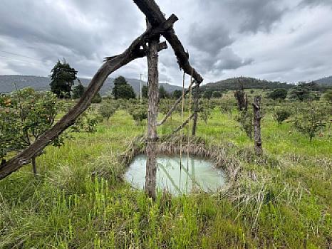 Terreno agrícola en sale en Tecomalucan, Tlaxco, Tlaxcala