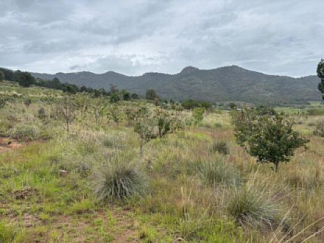 Terreno agrícola en sale en Tecomalucan, Tlaxco, Tlaxcala