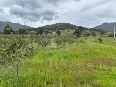 Terreno agrícola en sale en Tecomalucan, Tlaxco, Tlaxcala