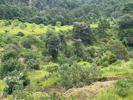 OCHO HECTAREAS DE TERRENO CON ARBOLES DE AGUACATE PRODUCIENDO
