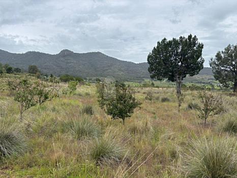 Terreno agrícola en sale en Tecomalucan, Tlaxco, Tlaxcala