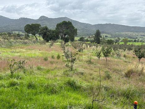 Terreno agrícola en sale en Tecomalucan, Tlaxco, Tlaxcala