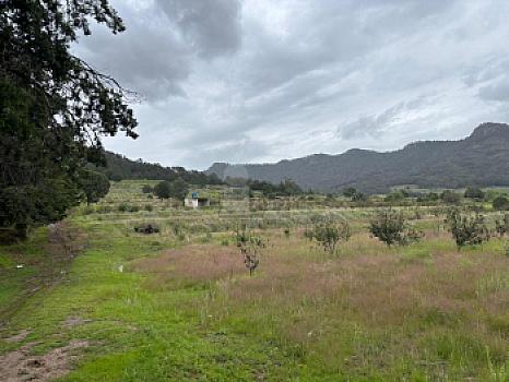 Terreno agrícola en sale en Tecomalucan, Tlaxco, Tlaxcala
