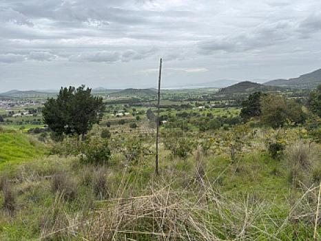 Terreno agrícola en sale en Tecomalucan, Tlaxco, Tlaxcala